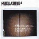 Skinful 4 [Audio CD] Various Artists