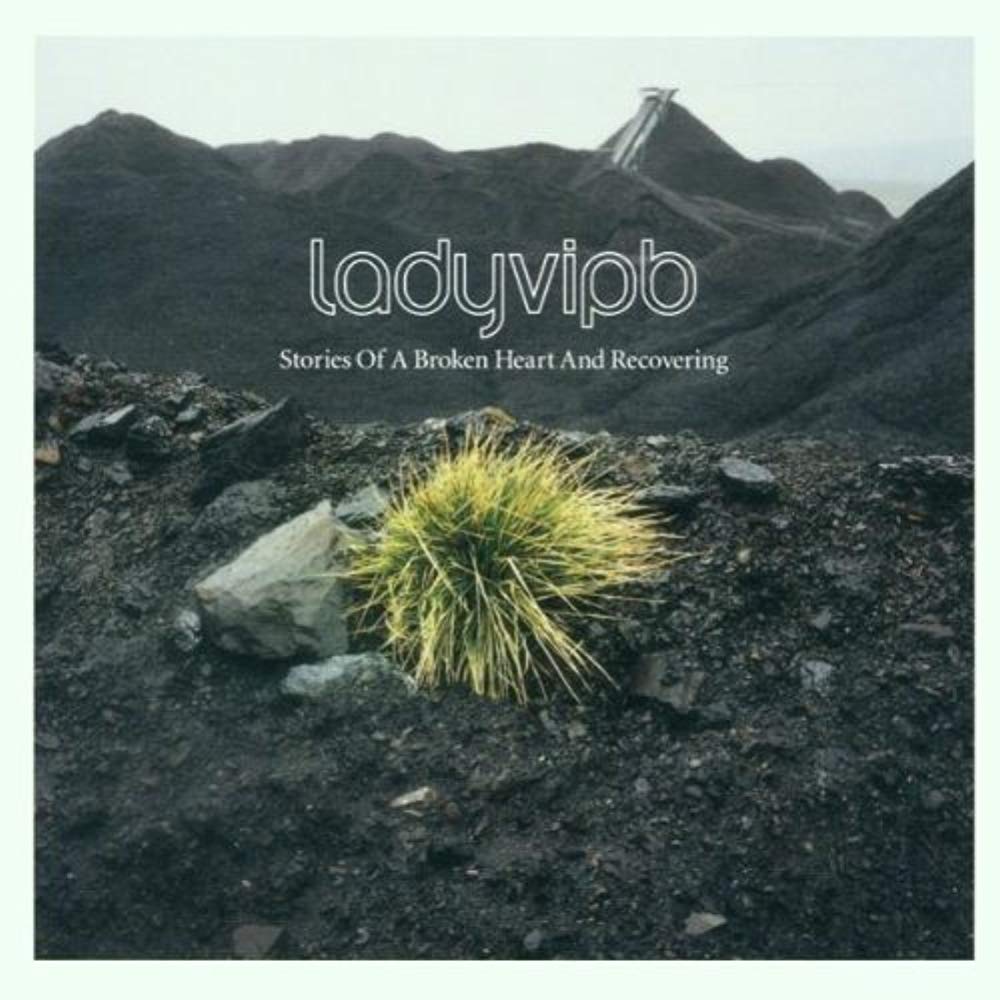 Stories of a Broken Heart and Recovering [Audio CD] Ladyvipb
