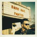 The Fighter [Audio CD] Nail, David