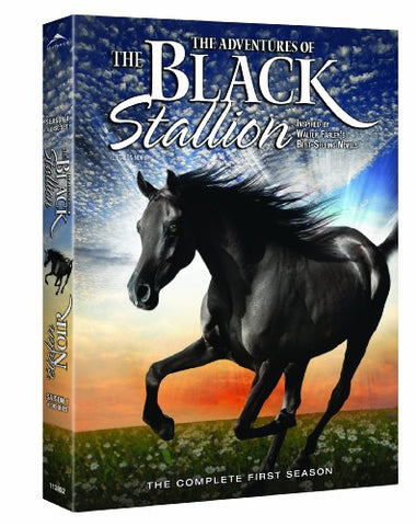 The New Adventures of the Black Stallion: The Complete First Season [DVD]