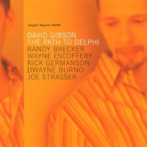 The Path To Delphi [Audio CD] Gibson, David