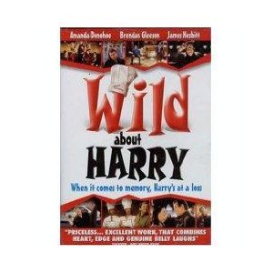 Wild About Harry [DVD]