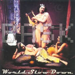 World Slow Down [Audio CD] Bask