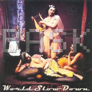 World Slow Down [Audio CD] Bask